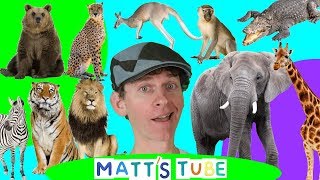 Wild Animals  Matts Tube 1  Learning Wild and Zoo Animals for Kids [upl. by Banwell]