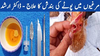 How to Treat Sour amp Impacted Crop in Backyard Chickens by Dr ARSHAD [upl. by Savill]