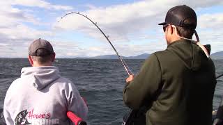 Trophy Mackinaw on Montanas Flathead Lake [upl. by Notlih]