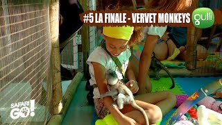 SAFARI GO S2 avec Carole Rousseau sur Gulli  E5  A la rencontre des Vervet Monkeys [upl. by Landbert]