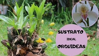 COMO HACER TIERRA O SUSTRATO IDEAL PARA ORQUIDEAS [upl. by Atima]