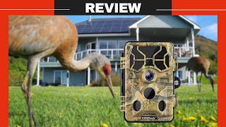 Campark T80 Trail Camera Review  Campark T80 Trail CameraWifi 20MP 1296P  Campark Trail Camera [upl. by Noyk575]