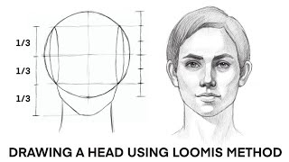 Drawing a head using Loomis method [upl. by Stinson63]