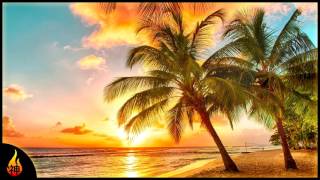 Island Reggae Music  Upbeat Tropics  Tropical Island Beach Music [upl. by Garth]