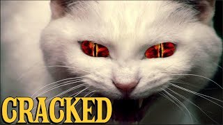 6 Scientific Findings That Prove Cats Are Evil [upl. by Arahsit]