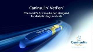 How to use Caninsulin VetPen [upl. by Notsua249]