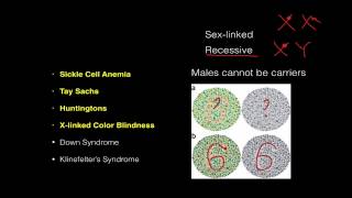 The Piece of Syndrome Nobody Talks About [upl. by Cirri]