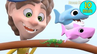 Baby Shark  More Nursery Rhymes amp Kids Songs  Dream English Kids [upl. by Aldrich42]