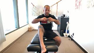 Patellar Tendinopathy Rehab  Isotonic Exercises [upl. by Cowey]