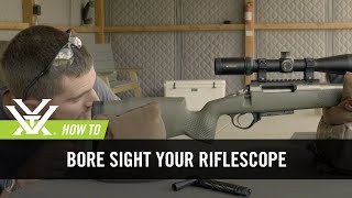 How To Bore Sight Your Rifle [upl. by Berman]