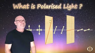 What is Polarised Light Polarisation Part 1  Waves  Physics [upl. by Oremo768]