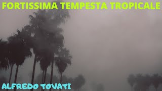 FORTISSIMA TEMPESTA TROPICALE VENTO PIOGGIA E TUONI [upl. by Ardeen]