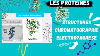 📣 Proteins Structures Techniques de séparation Chromatography Electroporesis اقوى شرح للبروتينات [upl. by Boswall802]