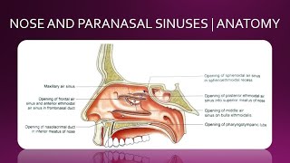 Enlarged Adenoids amp Adenoid facies [upl. by Dias]