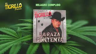 EL TIGRILLO PALMA  Lyrics Milagro Cumplido [upl. by Llorre]