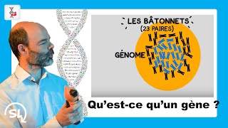 ScienceLoop Le génome 13 [upl. by Assirec]