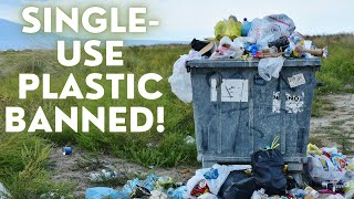 Singleuse plastic quotBANNEDquot in India WHY  By Kishor Singh shorts [upl. by Ahmed]