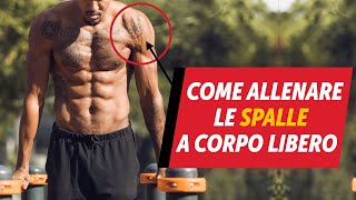 Come allenare le spalle a corpo libero [upl. by Enilreug]