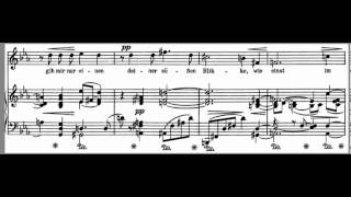 Allerseelen Accompaniment Strauss High key Eb [upl. by Haimaj689]