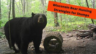 Wisconsin bear baiting tactics  Hollow Stump [upl. by Eessac]