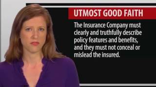 3 Legal Concepts of the Insurance Contract [upl. by Okihcas]