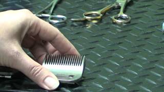 Pet Grooming Hand Tools for the DoItYourself Dog Groomer [upl. by Aztinad]