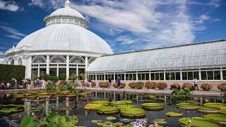 Tourist in Your Own Town 51  New York Botanical Garden [upl. by Araccot460]