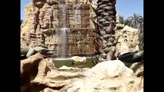 Tozeur Oasis  واحة مدينة توزر [upl. by Suoilenroc]