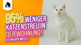 🔥 95 WENIGER KATZENSTREU in der Wohnung Katze verteilt Katzenstreu überall  was tun [upl. by Cykana]