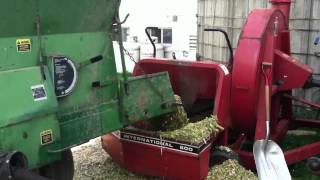 Unloading Silage [upl. by Root]