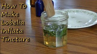 How to make Lobelia Tincture [upl. by Levenson123]