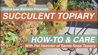 Succulent Topiary Design Ideas DIY amp Care Essentials [upl. by Kared]