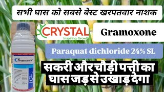 Gramoxone herbicide crystal Paraquat dichloride 24SL [upl. by Ahsatniuq]