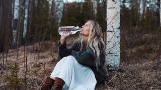 How to tap Birch Sap  Health benefits amp a taste of spring [upl. by Brottman]