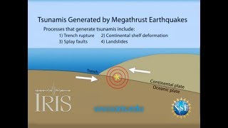 Tsunamis Generated by Megathrust Earthquakes [upl. by Ydnew972]