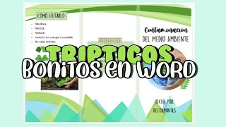 ✨💻 TRIPTICOS BONITOS en WORD [upl. by Mis]