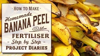 ★ How to Make Banana Peel Fertiliser A Complete Step by Step Guide [upl. by Idid]