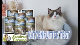 Katzenfutter SANDRAS SCHMANKERL im Test  Nassfutter für Katzen  JulisTierfuttertest 15 [upl. by Vasilis]