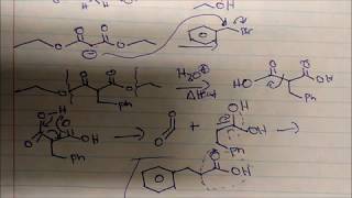 Malonic Ester Synthesis Reactions and Mechanism Using Diethyl Malonate [upl. by Dewayne]