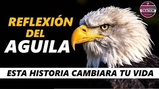 REFLEXION DEL AGUILA  UNA HISTORIA QUE CAMBIARA TU VIDA PARA SIEMPRE [upl. by Lucilla550]