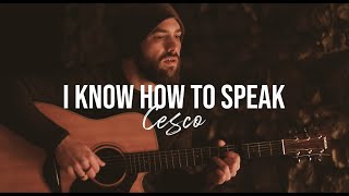 I KNOW HOW TO SPEAK  Manchester Orchestra Cover [upl. by Oiluj]