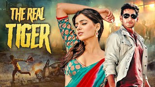 The Real Tiger Mahesh Babu  Hindi Dubbed BLOCKBUSTER Movie 2024  Samantha  Brahmanandam [upl. by Dever446]