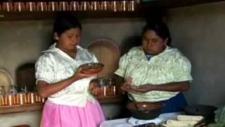 Traditional Mexican cuisine  ancestral ongoing community culture the Michoacán paradigm [upl. by Hauck500]