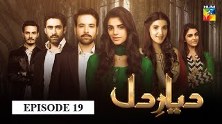 Diyar e Dil Episode 19 HUM TV Drama [upl. by Atsira]