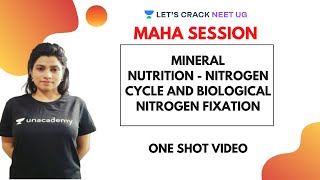 Mineral Nutrition  Nitrogen Cycle and Biological Nitrogen Fixation  NEET Biology  NEET 2020 [upl. by Ranchod150]