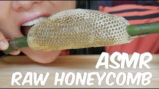 ASMR RAW HONEYCOMB EATING SOUNDS  SASASMR Part 4 [upl. by Wyne]