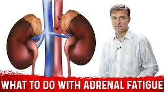 What To Do If You Have Adrenal Fatigue – Dr Berg Shows Adrenal Fatigue Exercise [upl. by Donahue]