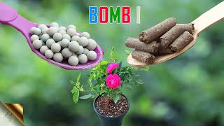 15 BEST NATURAL FERTILIZERS  CHOOSING ORGANIC FERTILIZER IN GARDENING [upl. by Nuawtna]