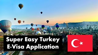 How to get your Turkey Tourist EVisa [upl. by Hnamik]