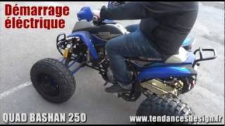 QUAD BASHAN 250CC HOMOLOGUE ROUTE [upl. by Ahsiekram]